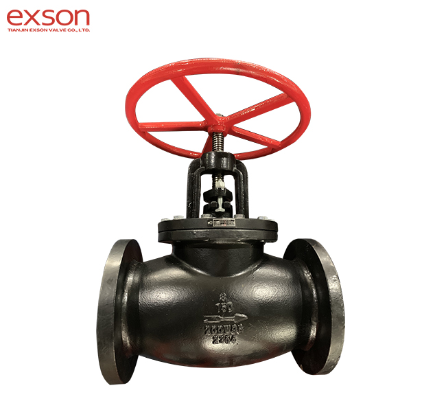 GGG40 Globe Valve